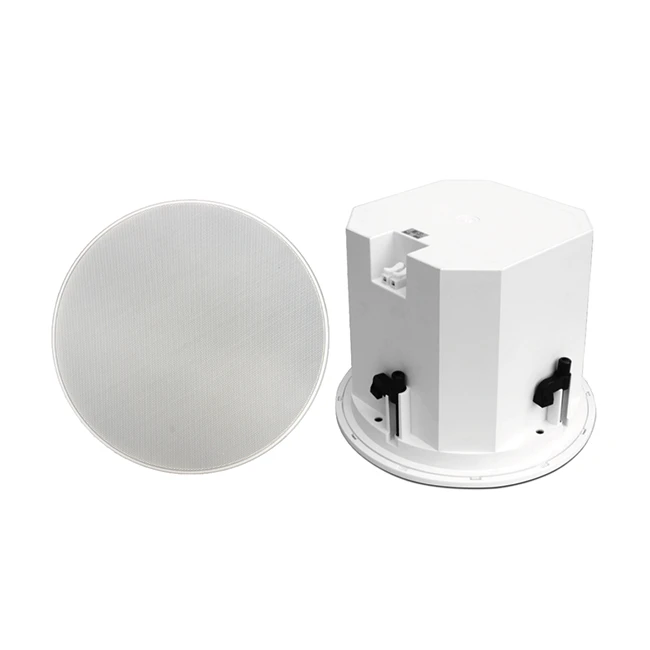 Two Way Ceiling Speaker